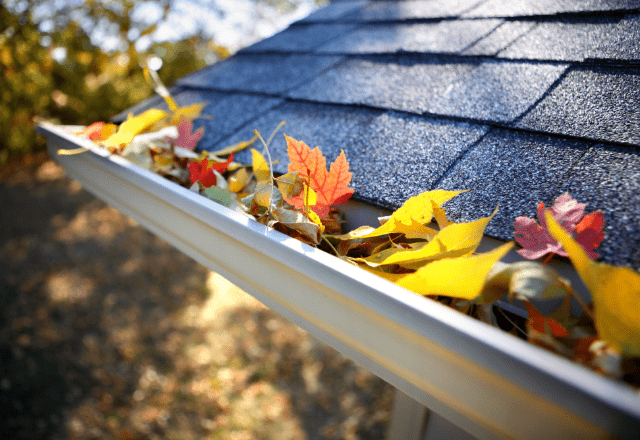 Close-up view of a house's gutter filled with colorful fallen leaves against a backdrop of a shingled roof, highlighting the need for roof cleaning and gutter maintenance.