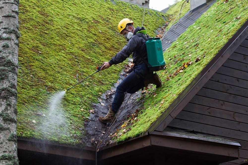 Roof moss cleaning