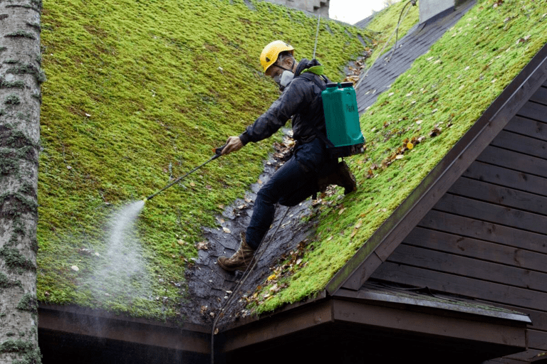 How does moss damage the roof?