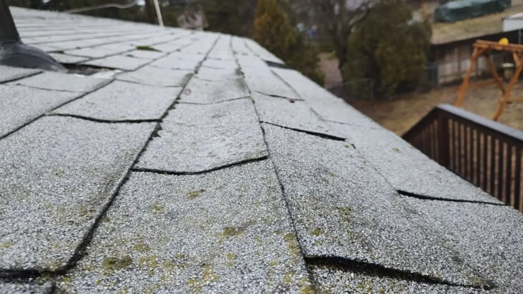 Mossy and leaky roof