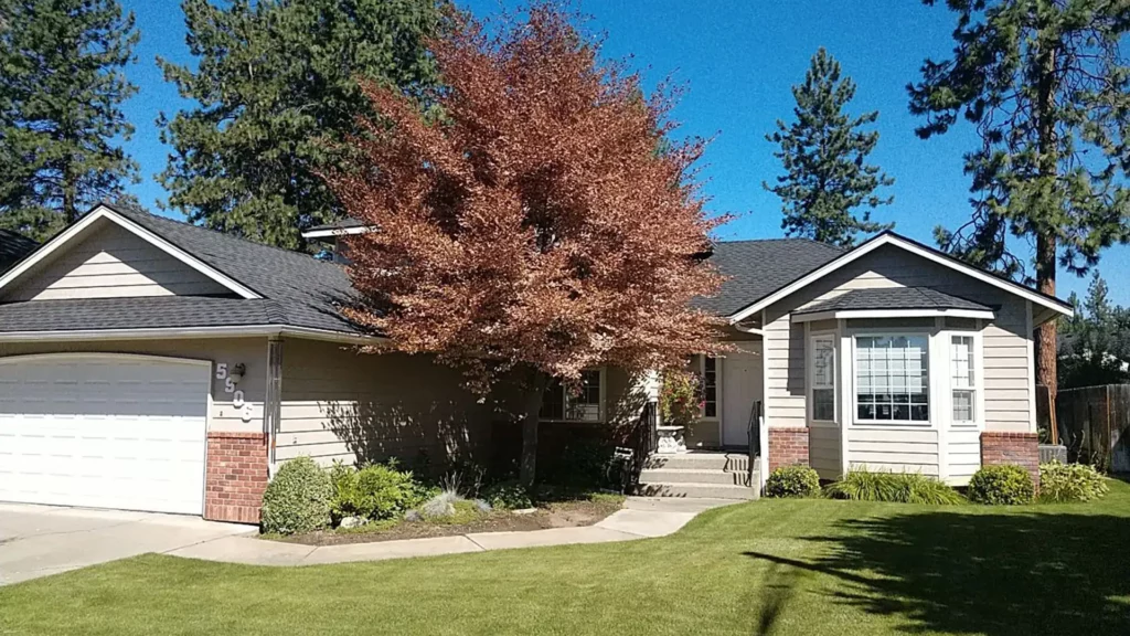 Roofing companies near me