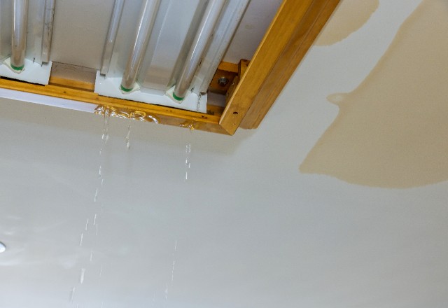 Stop the Drip: Quick and Affordable Roof Leak Repair Services