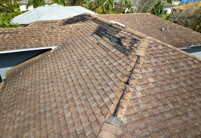 Assessing the Damage on Your Roofing System