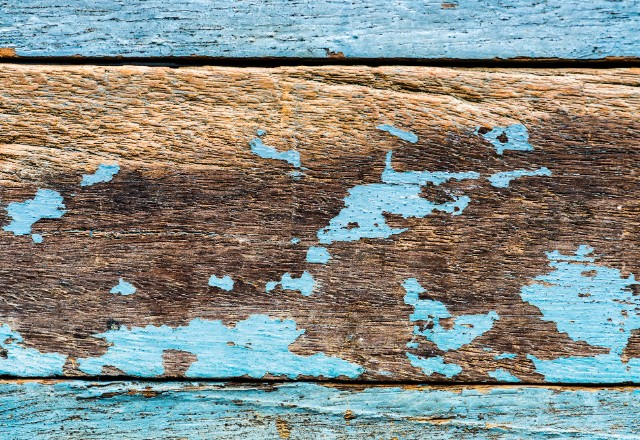 Types of Wood Rot