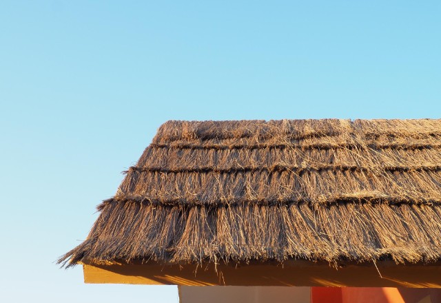 Natural materials such as straw, water reed, sedge, rushes, heather, and palm branches are commonly used for thatching roofs. 