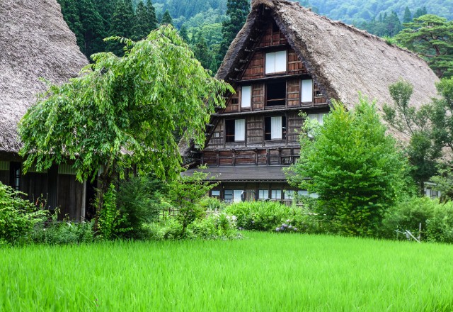 How Long Does a Thatched Roof Last?