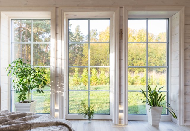 Most Popular Types of Windows by Construction