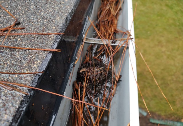 Close-up of a gutter filled with pine needles and debris, highlighting the importance of regular gutter cleaning