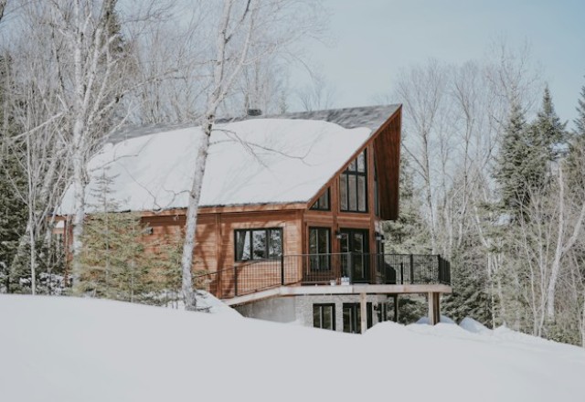 A modern residential home with a sloped roofing system, nestled in a snowy landscape with bare trees in the background, showcasing a well-maintained roof suitable for snowy climates.