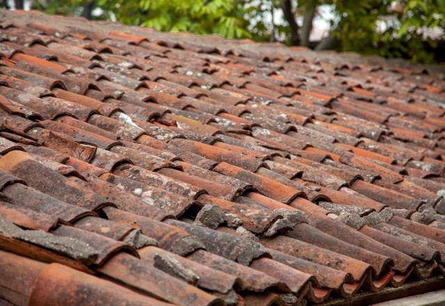 Close-up view of an old, weathered terracotta tile roof in need of repair, showing signs of moss and lichen growth