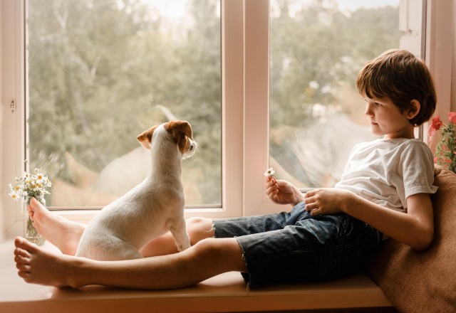 A young boy and a small dog sit side by side on a windowsill, gazing out at the view, in a serene home setting that suggests the safety of keeping children and pets indoors during wasp nest removal.