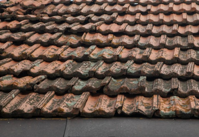 Close-up of an aging roof with rows of weathered terracotta tiles, showing signs of moss growth and natural wear, indicative of the need for roof inspection or maintenance