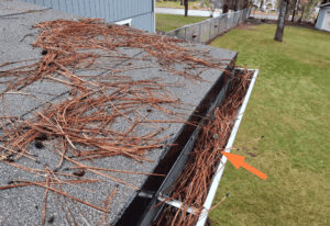 Photo highlighting a gutter clogged with pine needles on a roof, a common challenge for Spokane gutter cleaning services