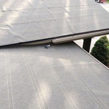 Roof underlayment in place on a residential home, with eaves and gutter visible, marking another step in an insulation replacement project