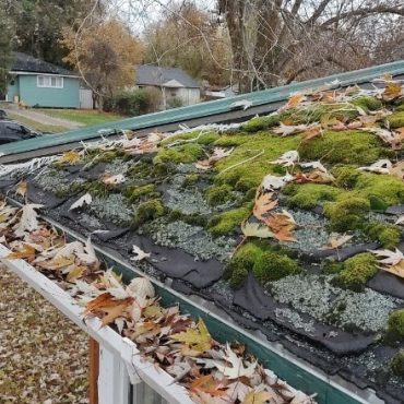 Asphalt shingle roof covered with moss and fallen leaves, suggesting neglect and the need for cleaning and maintenance