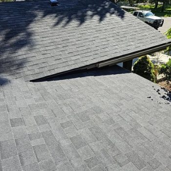 Finished asphalt shingle roof with shadows of tree branches, representing the final stage of an insulation replacement project, ready for evaluation