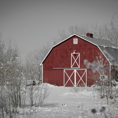 Rustic red pole barn nestled in a tranquil winter forest, crafted by skilled pole barn builders in Spokane, WA