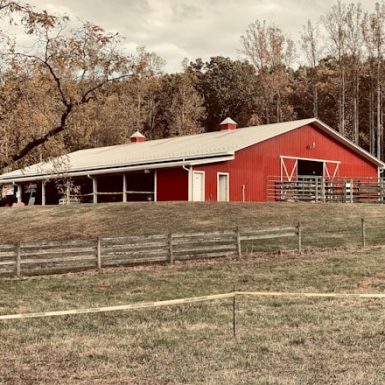 Red pole barn with white trim and open stalls, a custom design by Spokane pole building companies, nestled in an autumn woodland landscape.